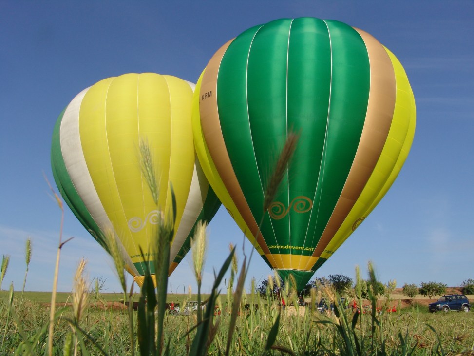 Two colorful hot air balloons with custom designs floating above a field with wheat crops.