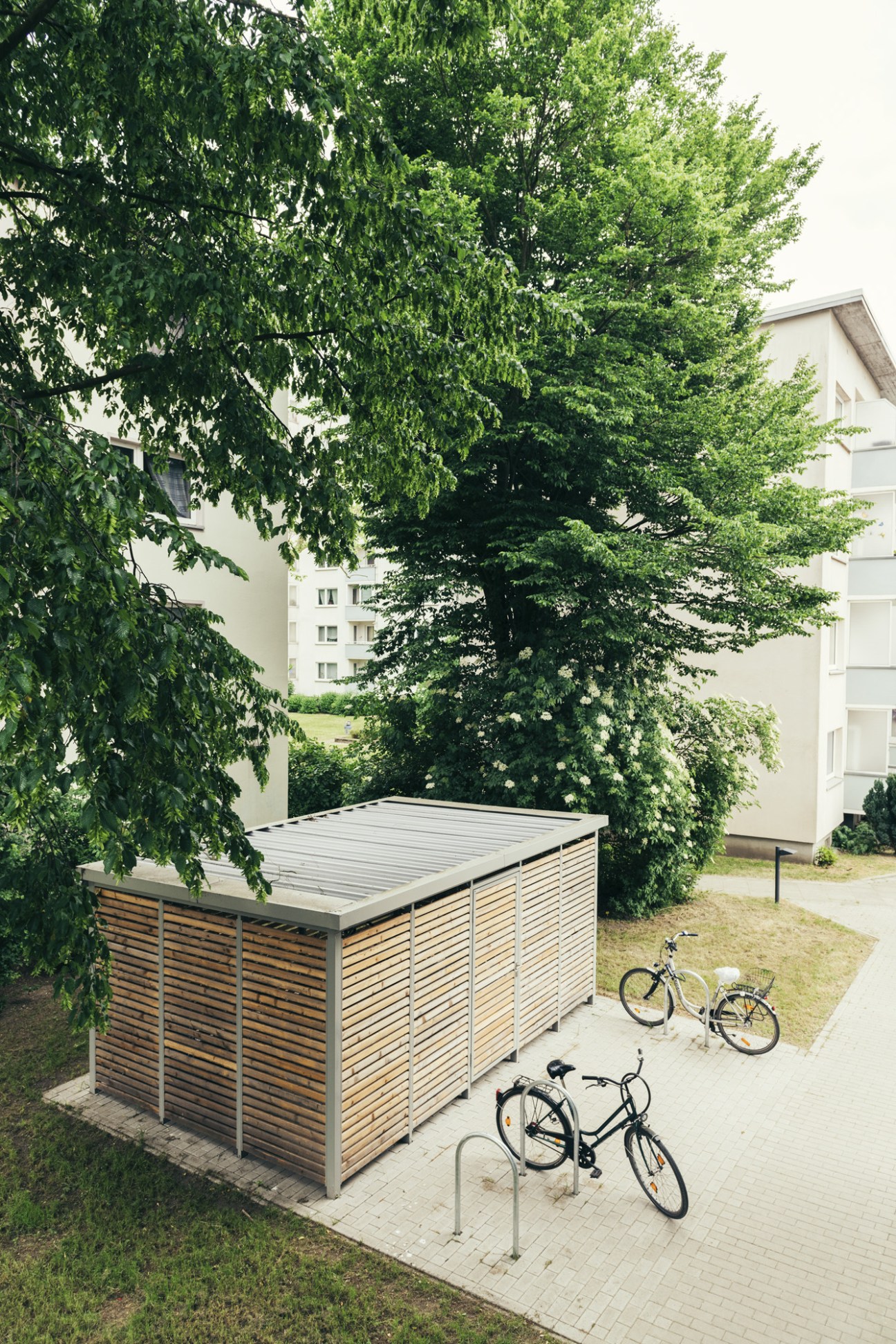 Wooden bicycle parking structure with slatted sides sheltering three bikes in a residential courtyard.