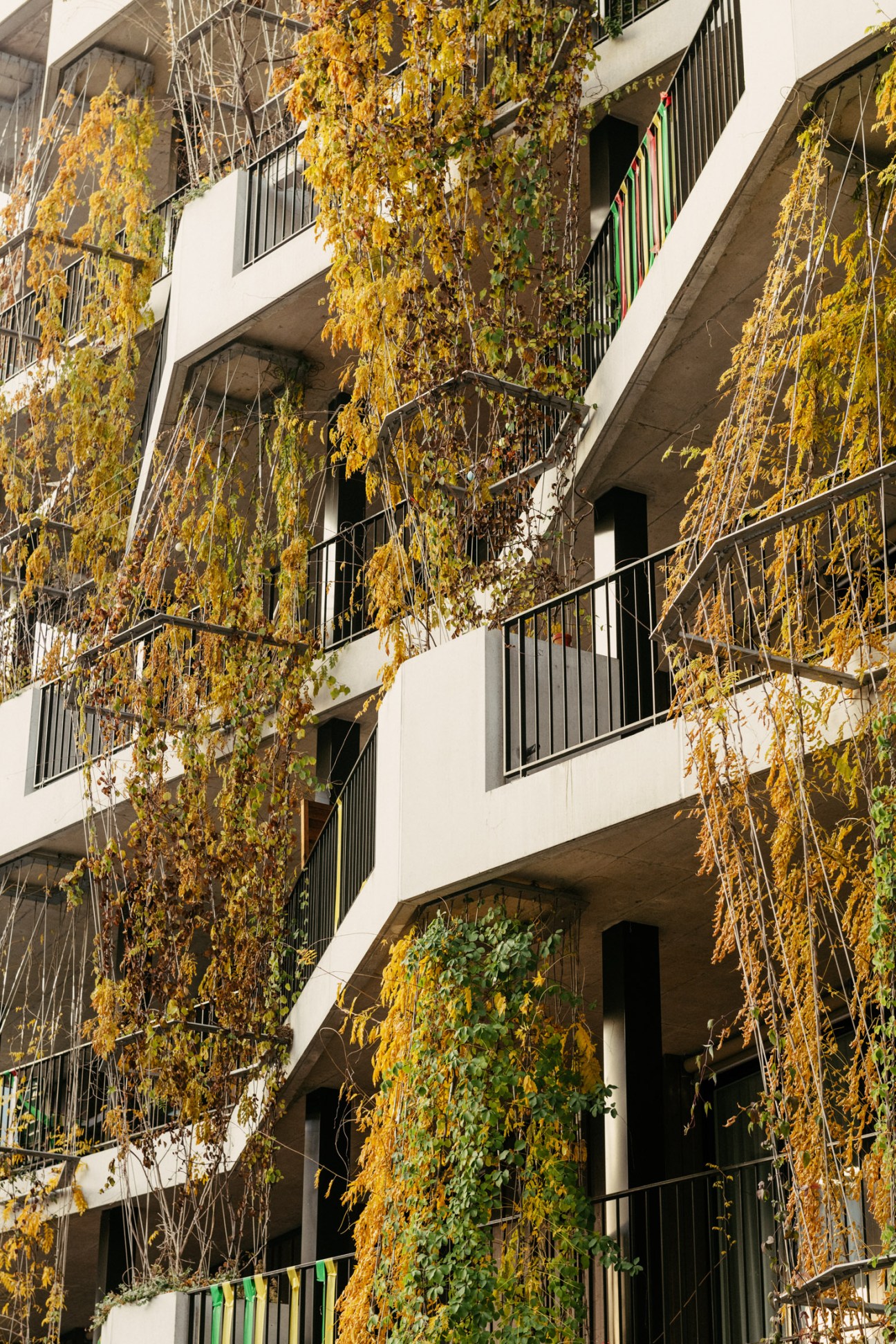A multi-story residential building with ivy-covered facade and balconies at Mehr als Wohnen in Zurich.