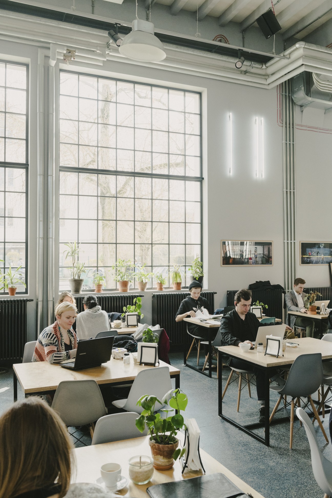 Modern café interior with industrial design featuring large grid windows, pendant lighting, and workers at tables with laptops.