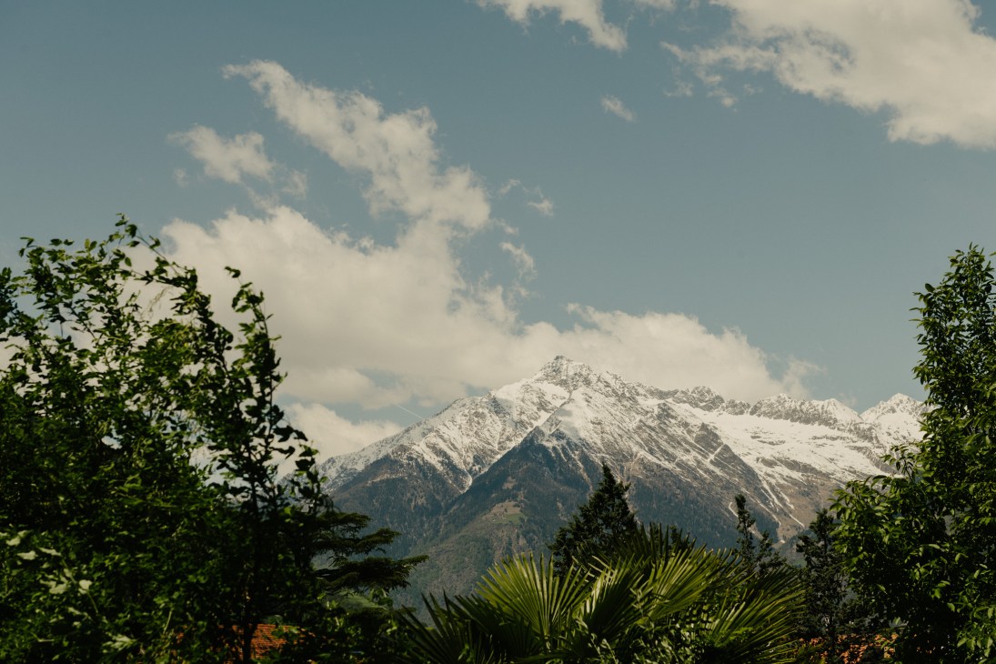 Snow-capped Dolomite peaks viewed through green foliage and palm trees in the foreground under blue sky with white clouds.