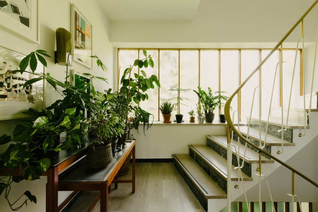 Bright stairwell with potted plants on wooden table and windowsill, brass railings and green walls.