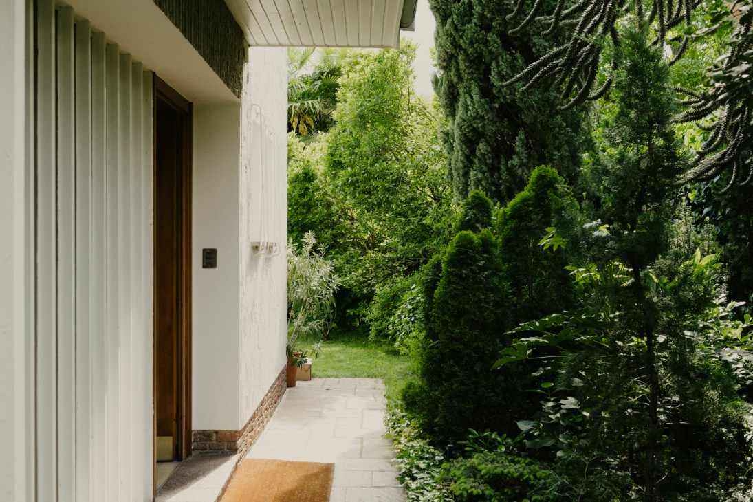 Modern white-walled house entrance with wooden door bordered by lush green garden and hedge vegetation.