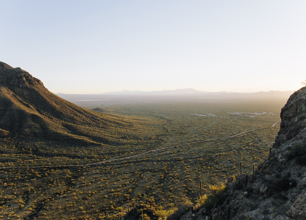 Expansive desert landscape with saguaro cacti viewed from a mountain pass at sunset.