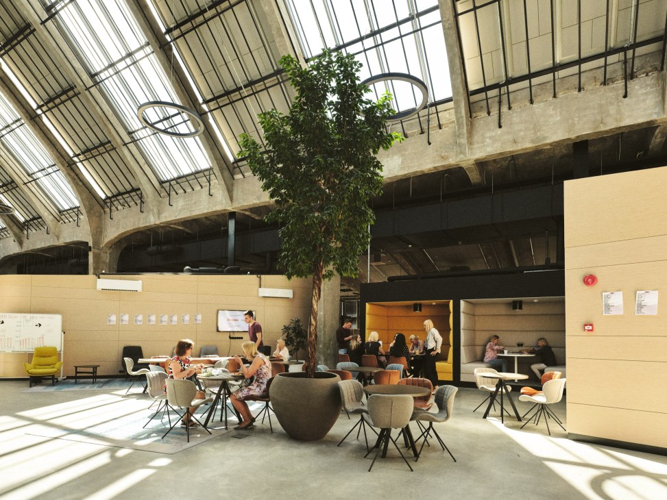 Aripaev office space with yellow-walled pods, communal seating areas, and a climbing plant under a glass roof with natural light.