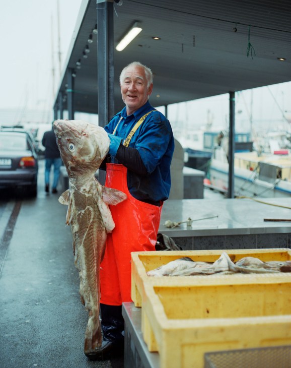 Fisherman Carl August Arge holds a large Atlantic cod by its gills at Tórshavn harbour.