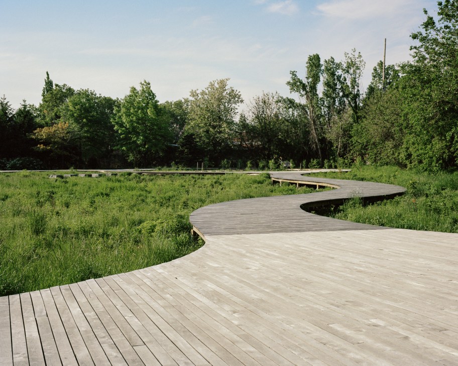 Curved wooden boardwalk winding through a green meadow with mature trees in the background.