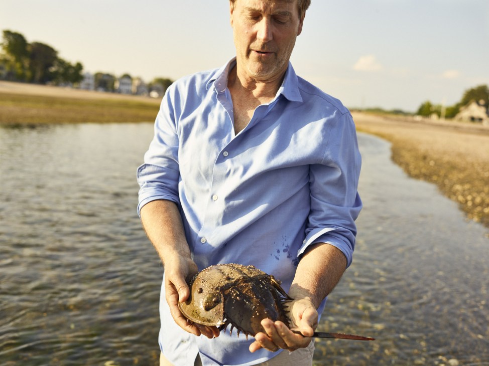 Explorer Richard Wiese holding a horseshoe crab on a tidal flat in Westport, Connecticut.