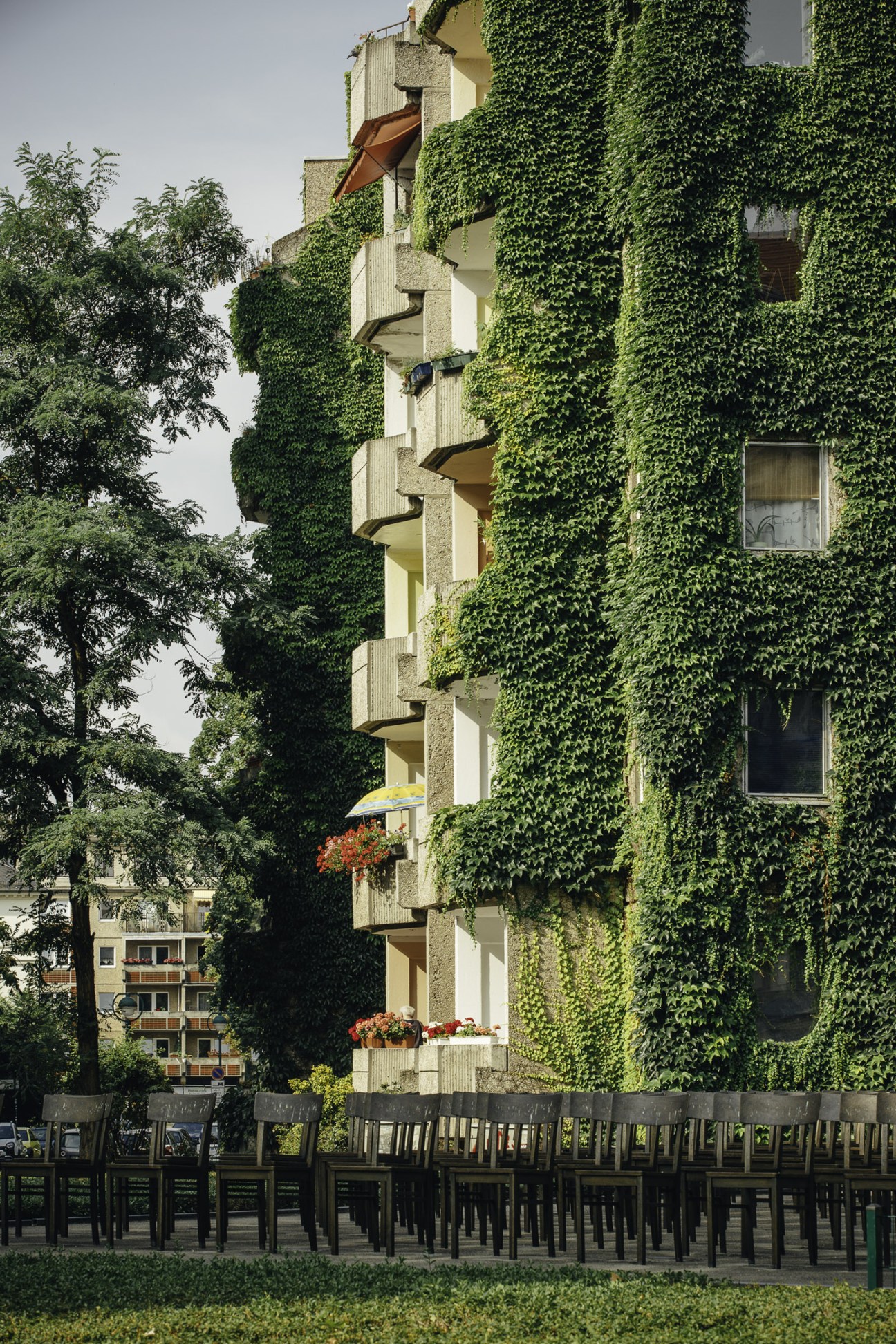 Ivy-covered modernist apartment building with balconies beside green trees in Leipzig.