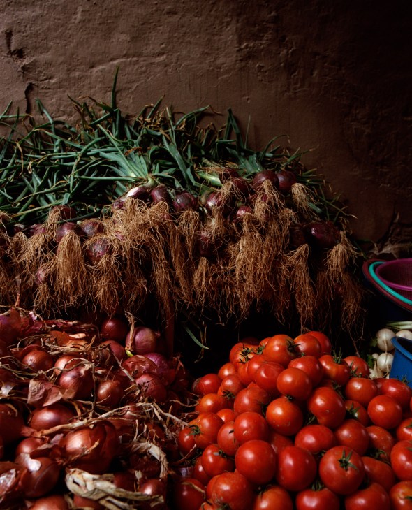 Red tomatoes and purple onions with green stems displayed against a mud-coloured wall.