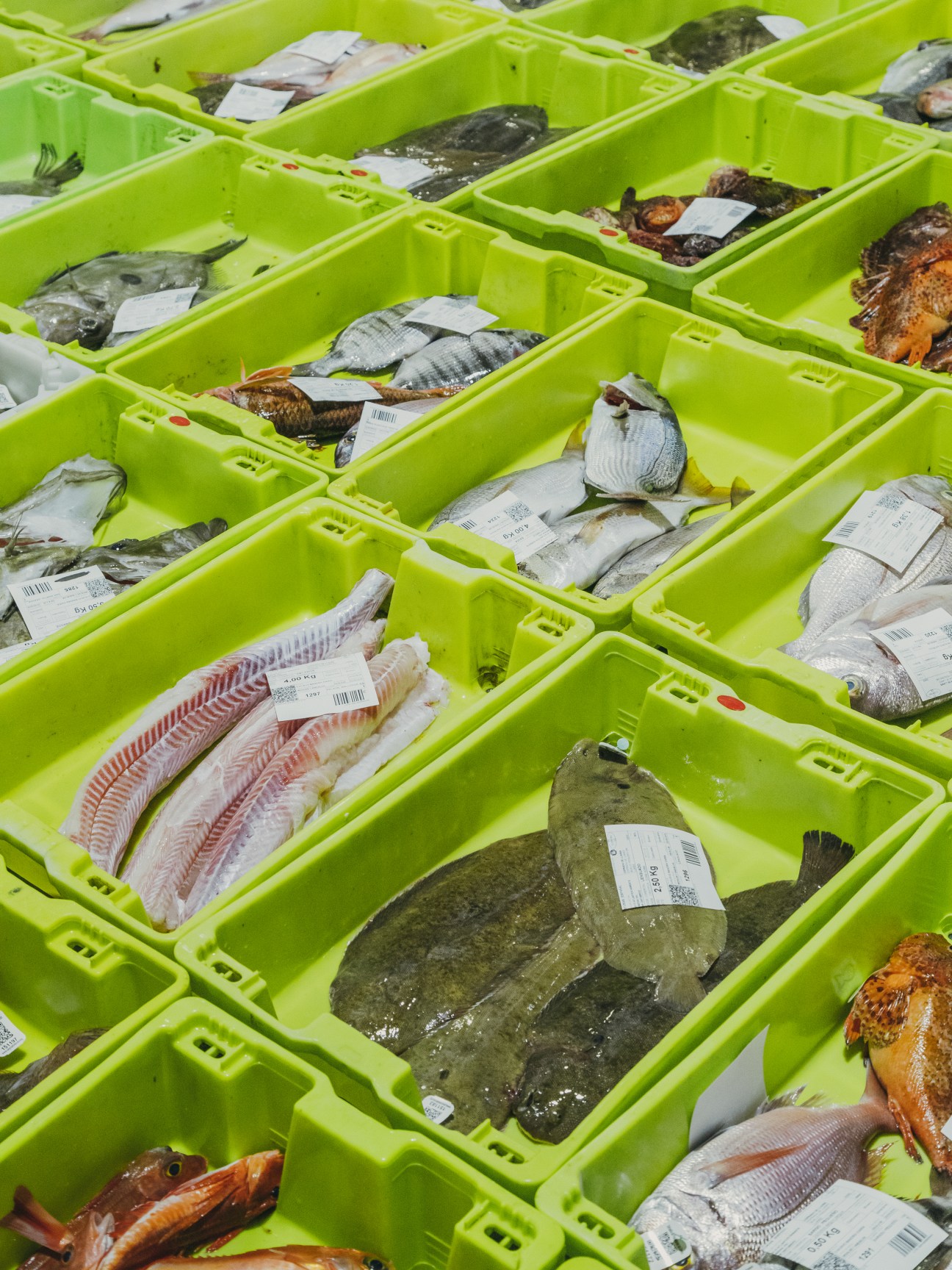 Fresh fish and seafood with price labels displayed in bright green market crates