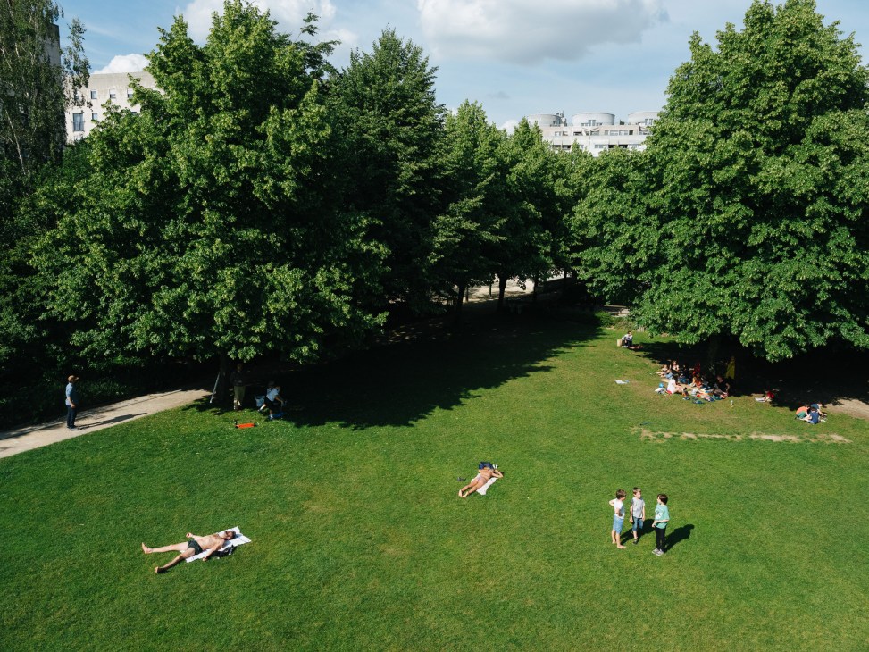 People relaxing on green lawn beneath mature trees in an urban park with buildings in background.
