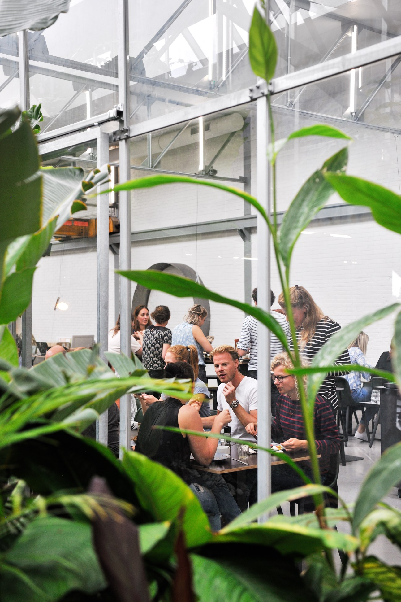 People dining and socializing in a bright greenhouse space filled with tropical plants and glass ceiling structures