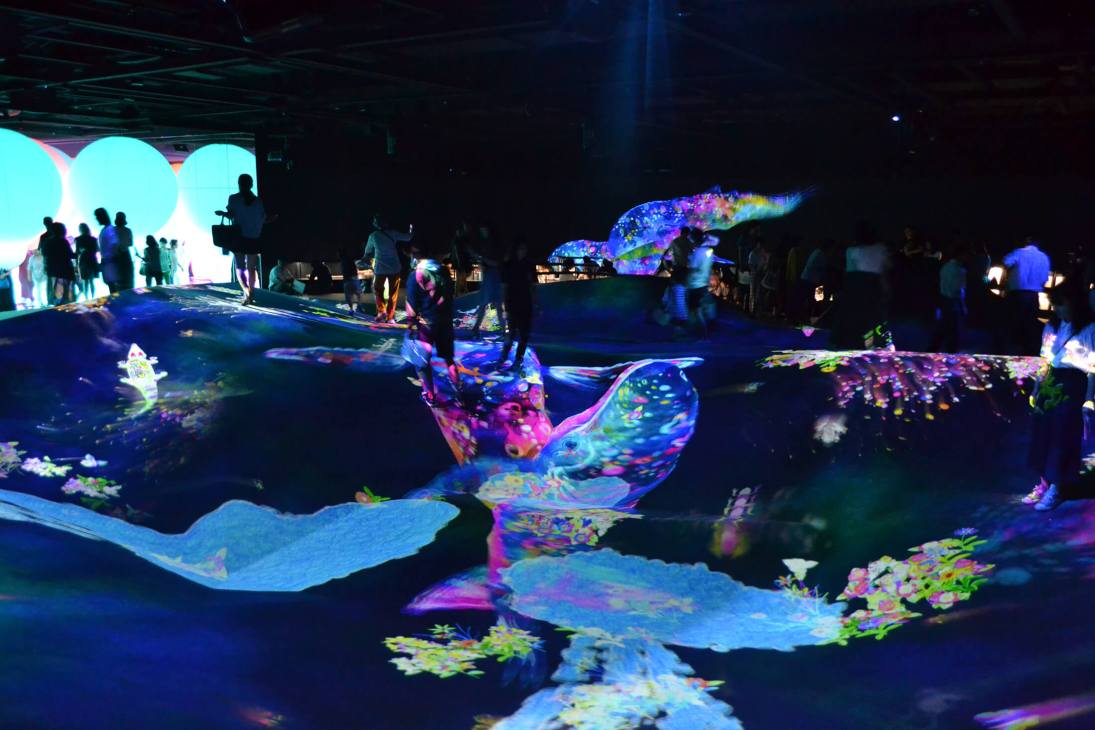 Immersive digital art installation at TeamLab Planets Tokyo featuring glowing whale and fish sculptures with colorful projections.