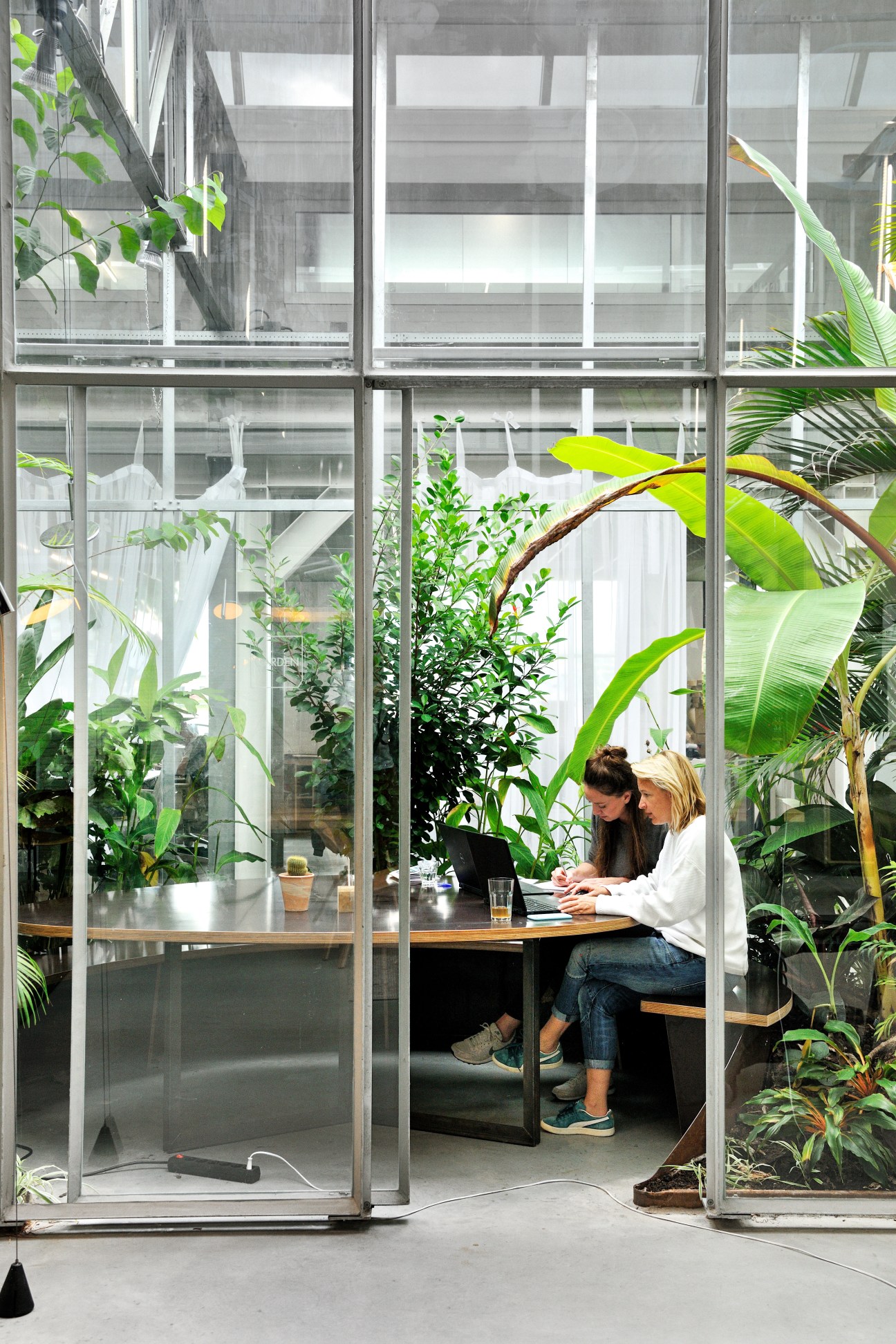 Two women working together at a laptop inside a glass-walled greenhouse meeting room surrounded by tropical plants