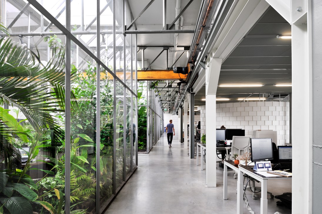 Modern office corridor with glass-walled greenhouse filled with tropical plants alongside open workspace area