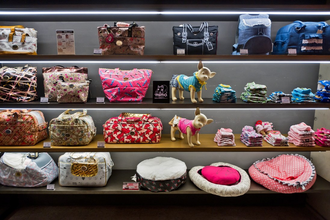 Shelves displaying dog carry bags, beds, clothing and accessories at Hannari retail store.