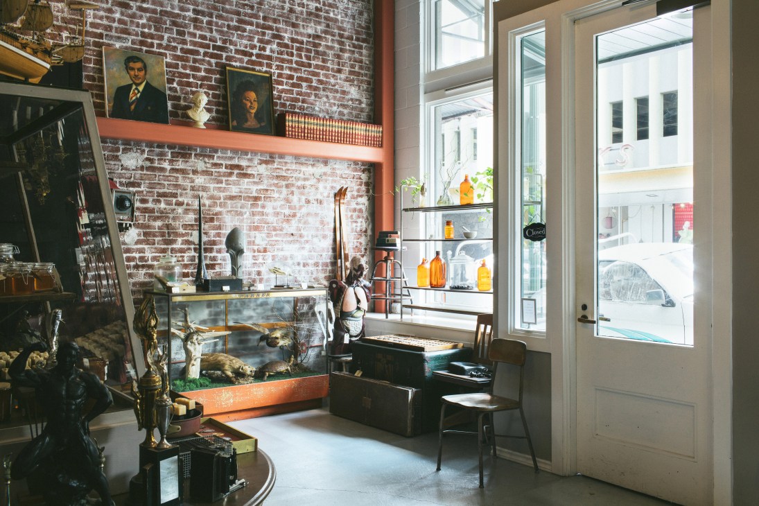 Interior of Hound and Quail shop showing brick walls, vintage furniture, taxidermy, portraits, and curated curiosities.