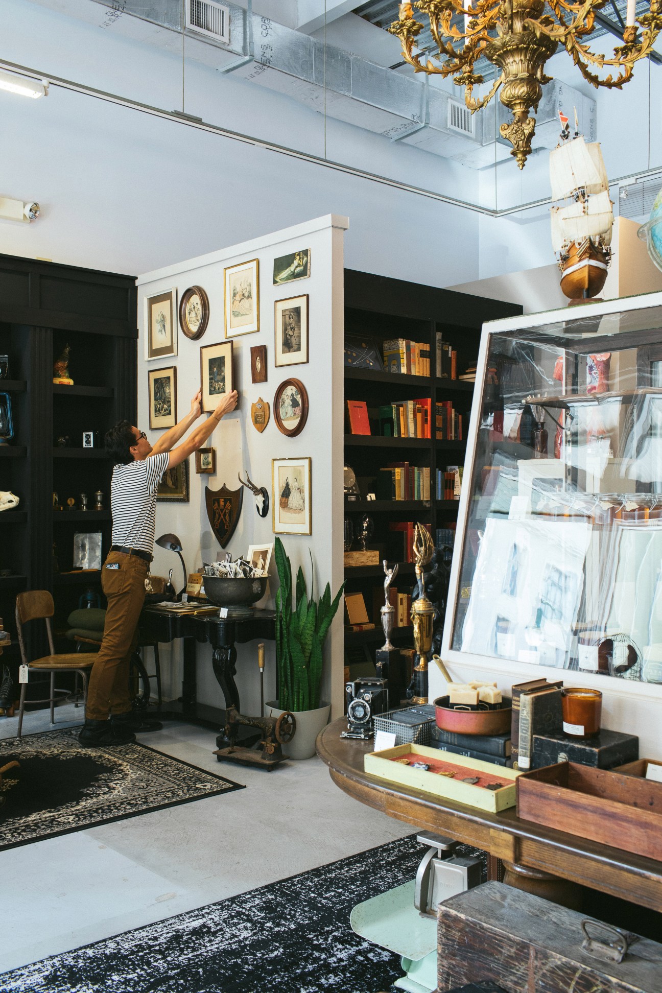 Person adjusting framed artwork on white wall display in Hound and Quail curiosity shop.