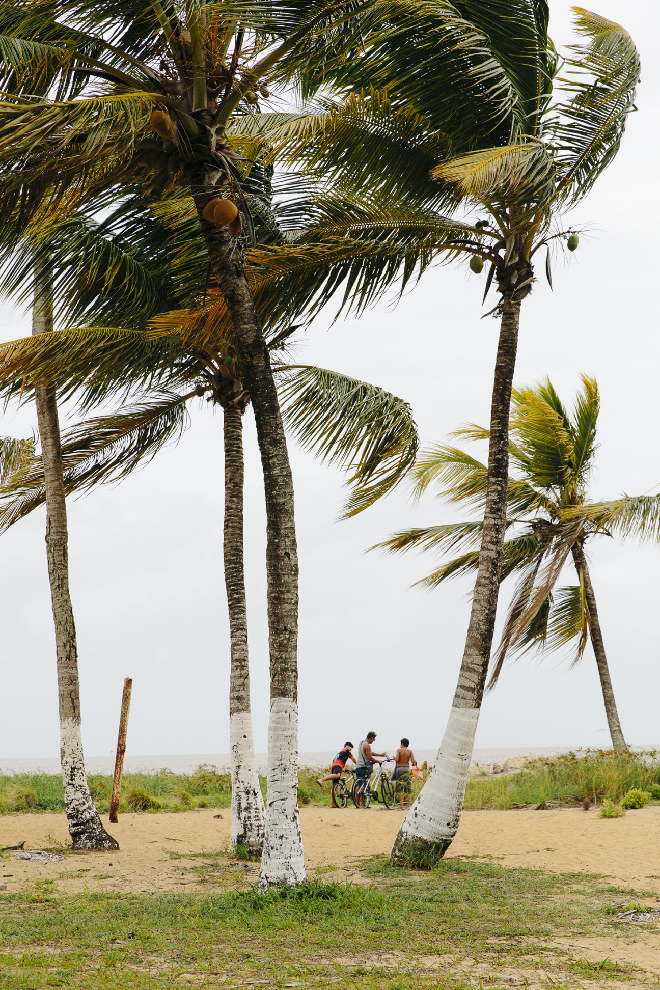 Children riding bikes beneath tall palm trees on a sandy beach in Kourou, French Guiana.