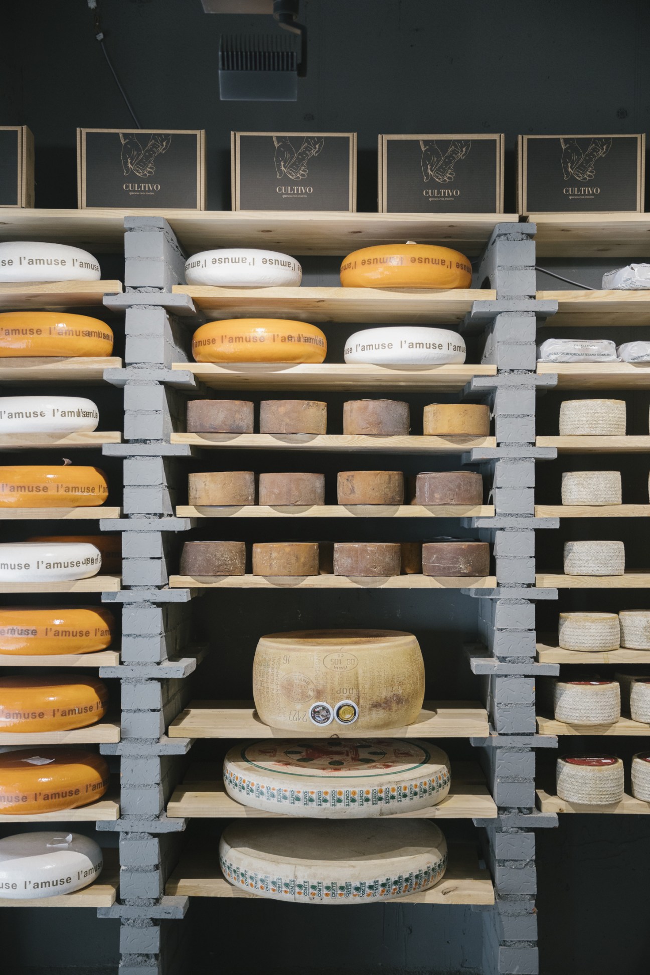 Shelves displaying aged cheese wheels and cylindrical forms labeled 'l'amuse' at Quesería Cultivo in Madrid.