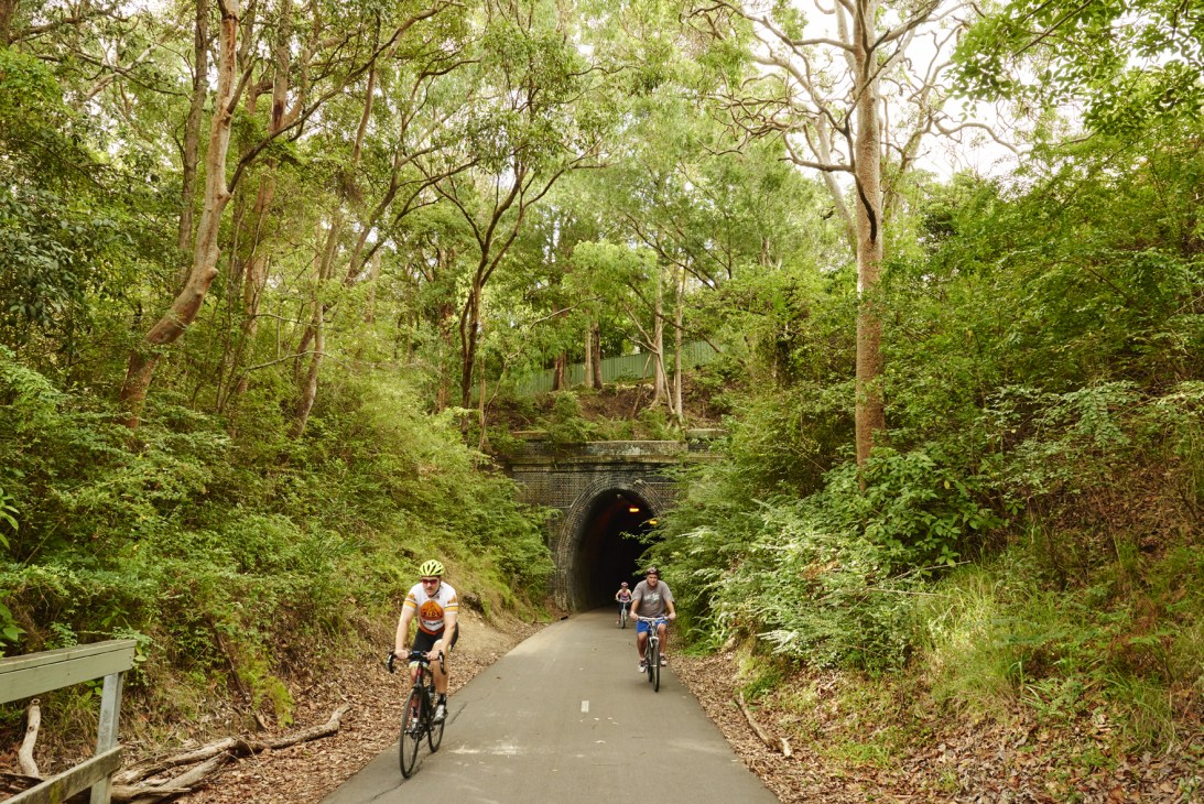 Two cyclists ride through a tree-lined tunnel in Adamstown, Newcastle.