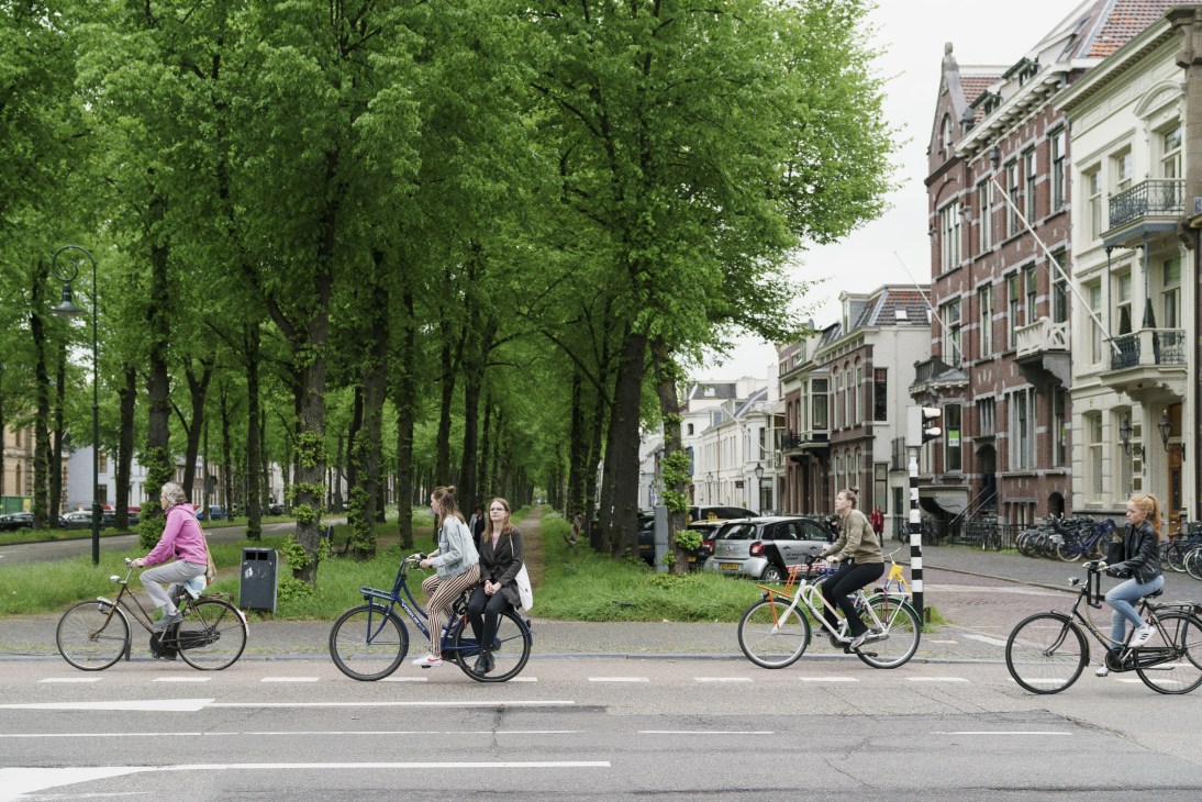 Cyclists riding along a tree-lined street in Utrecht with historic buildings visible on the right side.