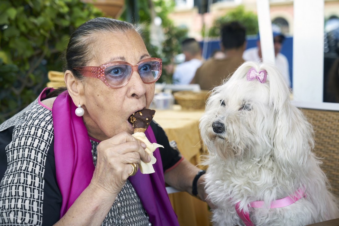 Woman in pink blazer and red-framed glasses eating chocolate ice cream next to white dog with pink bow