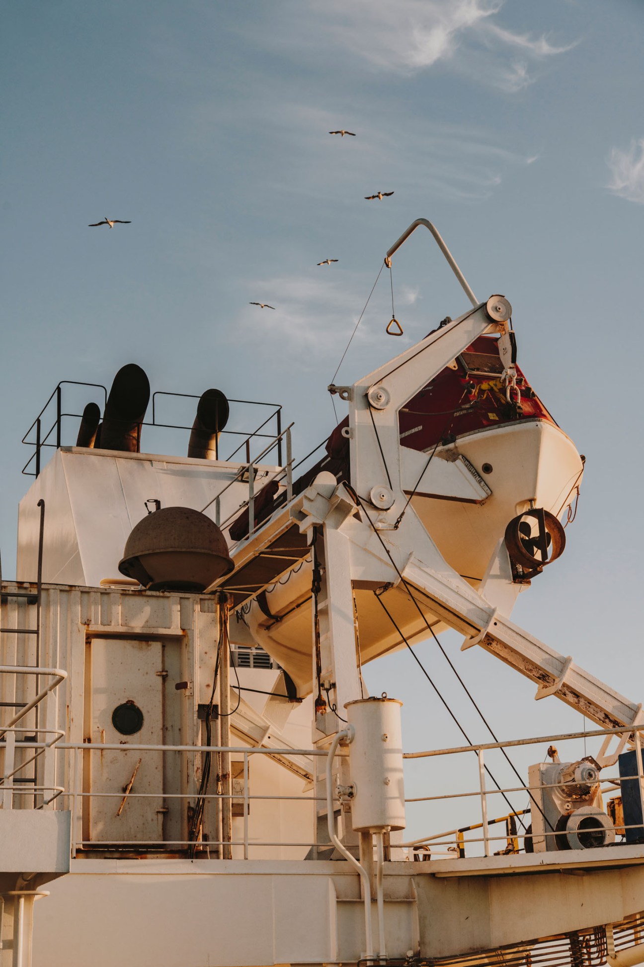 Hospital ship Esperanza del Mar's deck and crane with gulls flying overhead against blue sky