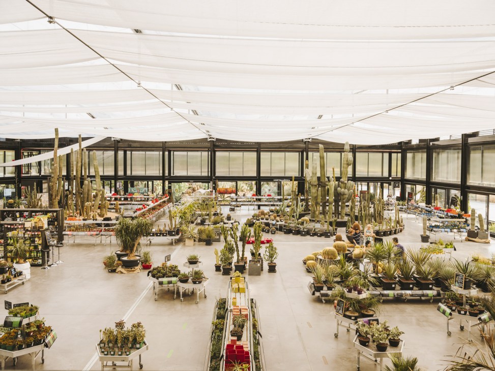 Interior view of Desert City nursery with translucent polymer roof, showing organized rows of potted succulents and cacti under filtered natural light.
