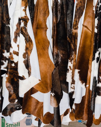 Cowhides in brown and white patterns hanging at a vendor booth at Iowa State Fair