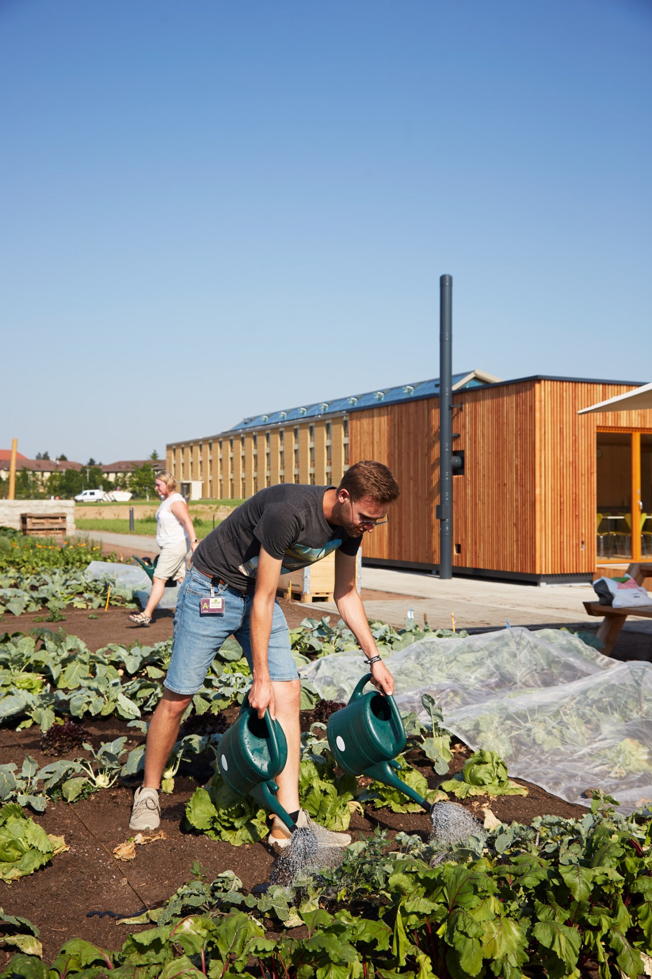 Man watering vegetable plants in a community garden with the wooden Alnatura Campus building in the background.