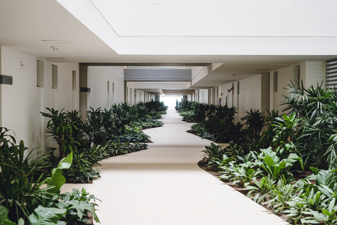 Modern covered walkway with lush tropical plants lining both sides of a pathway leading to bright opening