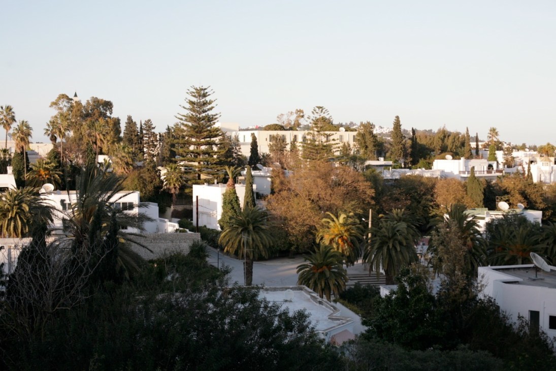 Luxury white homes with palm trees and cypress trees in the Carthage neighborhood of Tunis.
