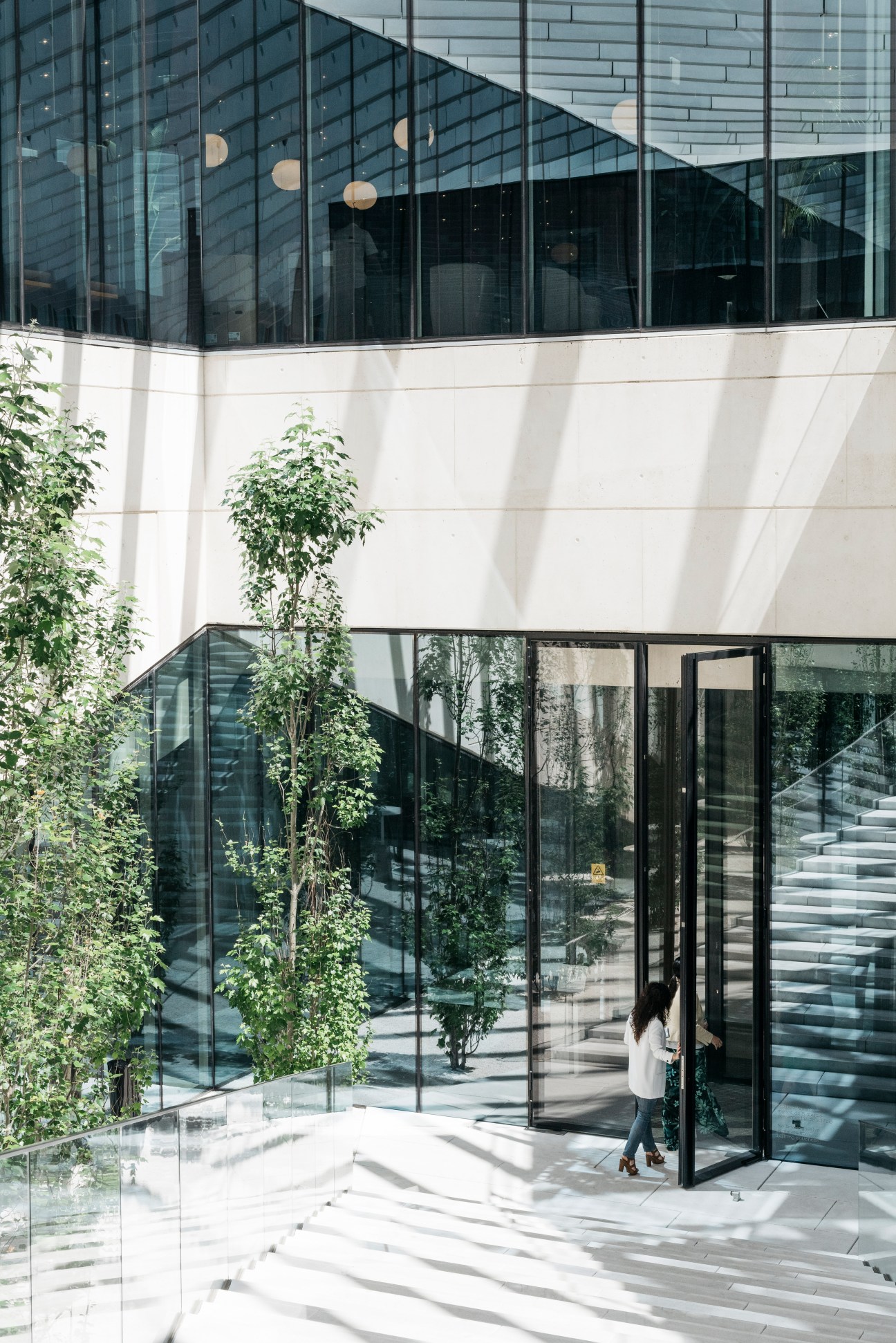 Modern building entrance with glass doors, white concrete walls, and young trees lining the steps to reception.