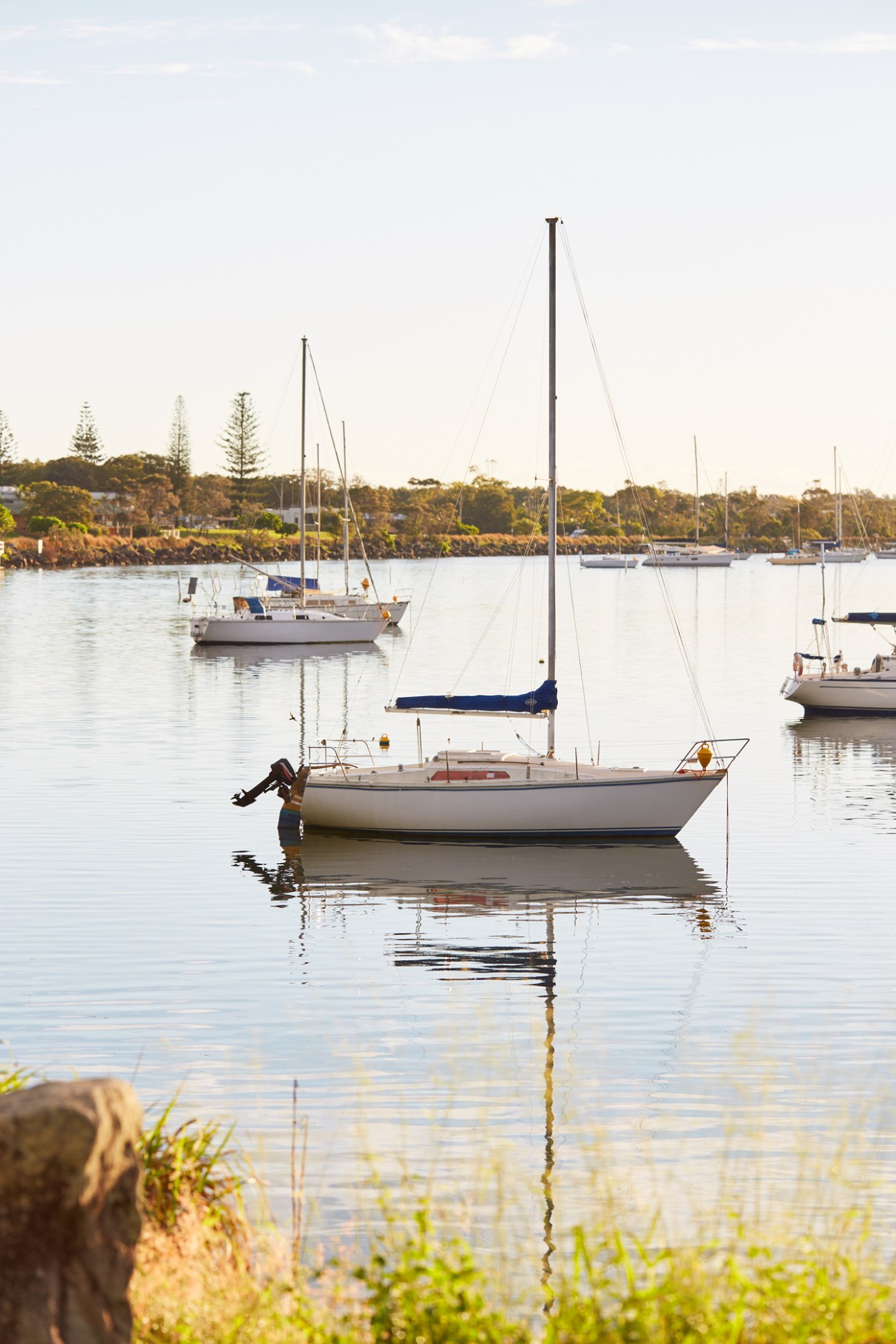 Sailboats moored in calm water at Yamba Marina with tree-lined shore in background.