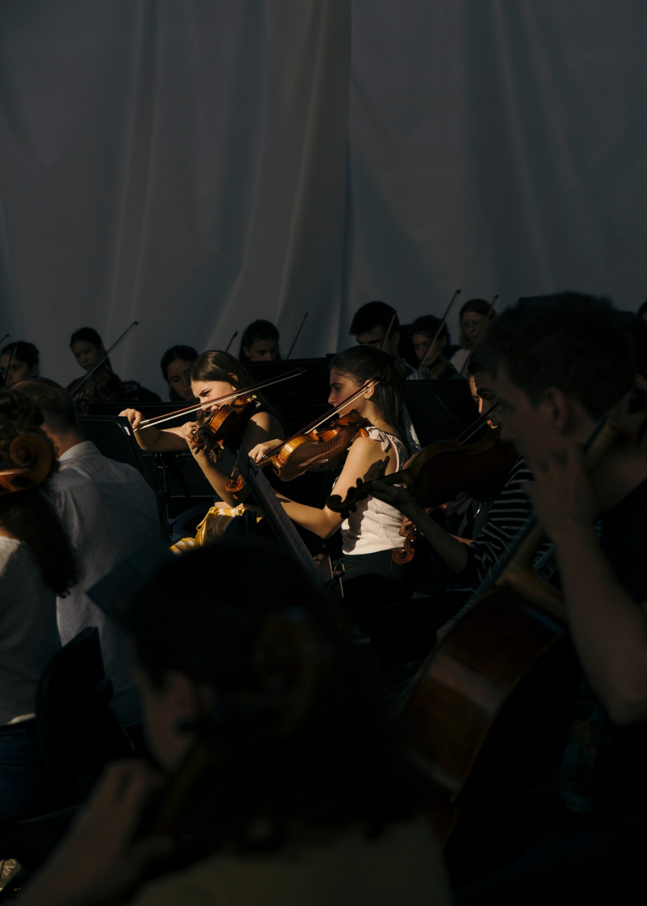 Violinists performing together in an orchestra, playing Mahler's demanding score during rehearsal.