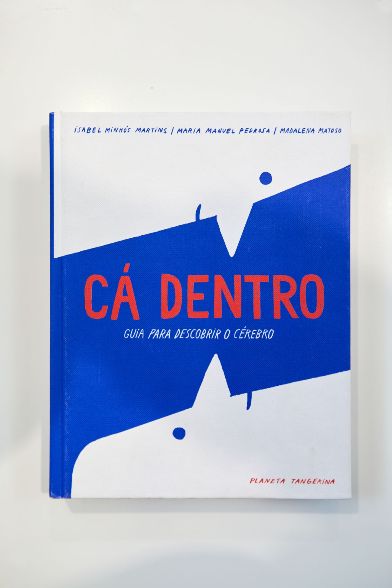 Children's book 'Cá Dentro' by Planeta Tangerina with blue and white geometric design and red typography.
