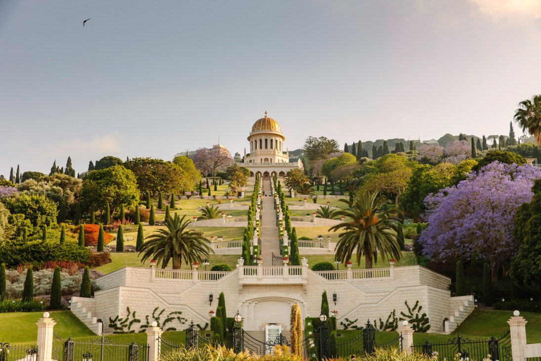 The golden-domed Bahai Temple surrounded by manicured gardens, cypress trees, and blooming jacaranda flowers on the slopes of Mount Carmel in Haifa.