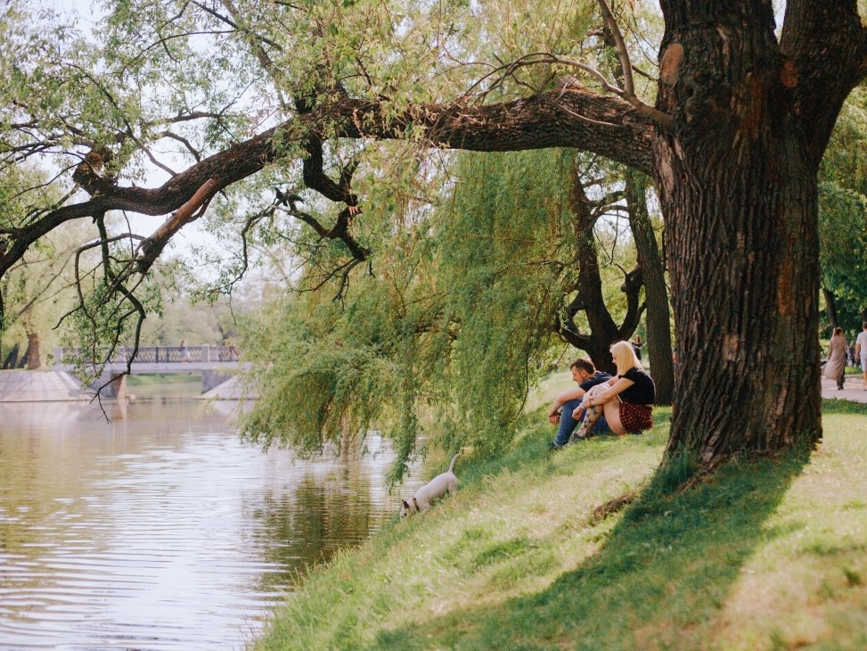 Couple with dog sitting by a river under a large weeping willow tree in Novodevichiy park, Moscow.