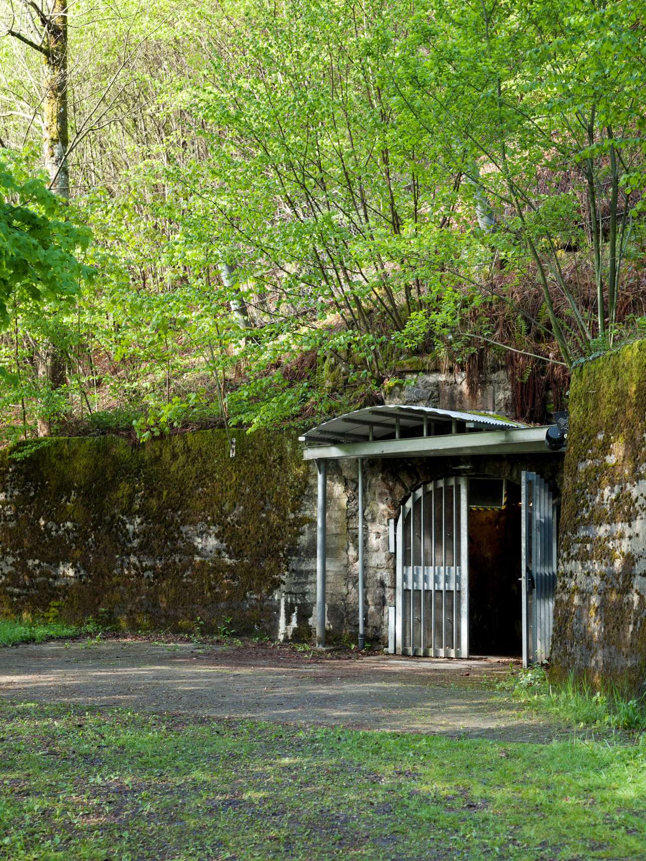 Small metal entrance structure nestled in dense Black Forest woodland with moss-covered stone walls.