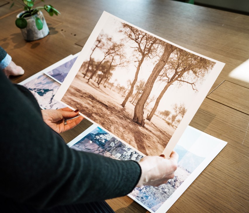 Person holding printed landscape photograph of bare trees in desert setting on wooden table.