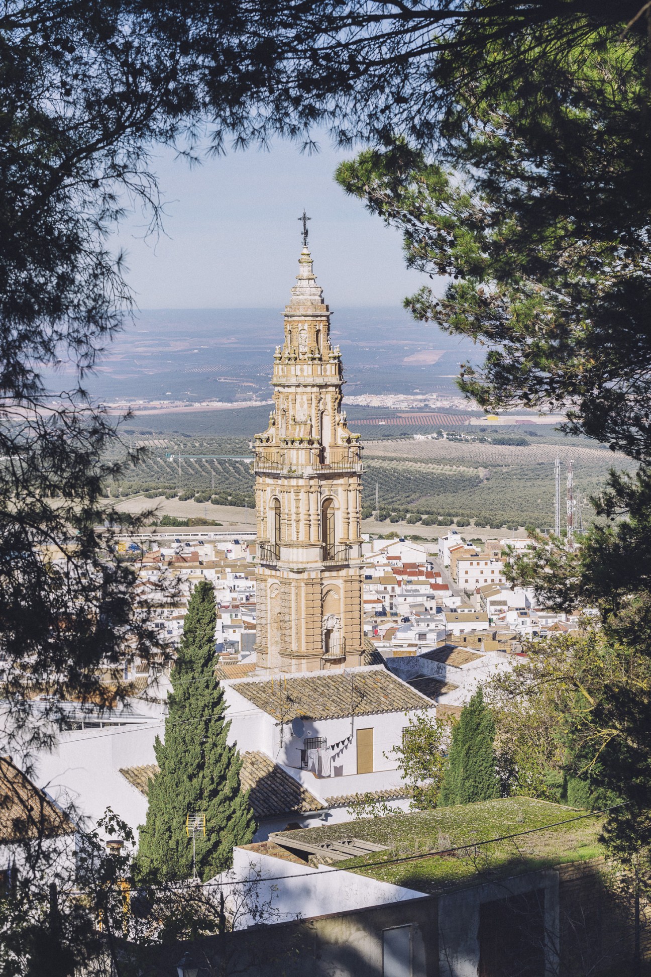 Torre de la Victoria, a golden stone bell tower with a cross on top, rises above white-washed buildings in Estepa, framed by tree branches with olive groves visible in the distance.