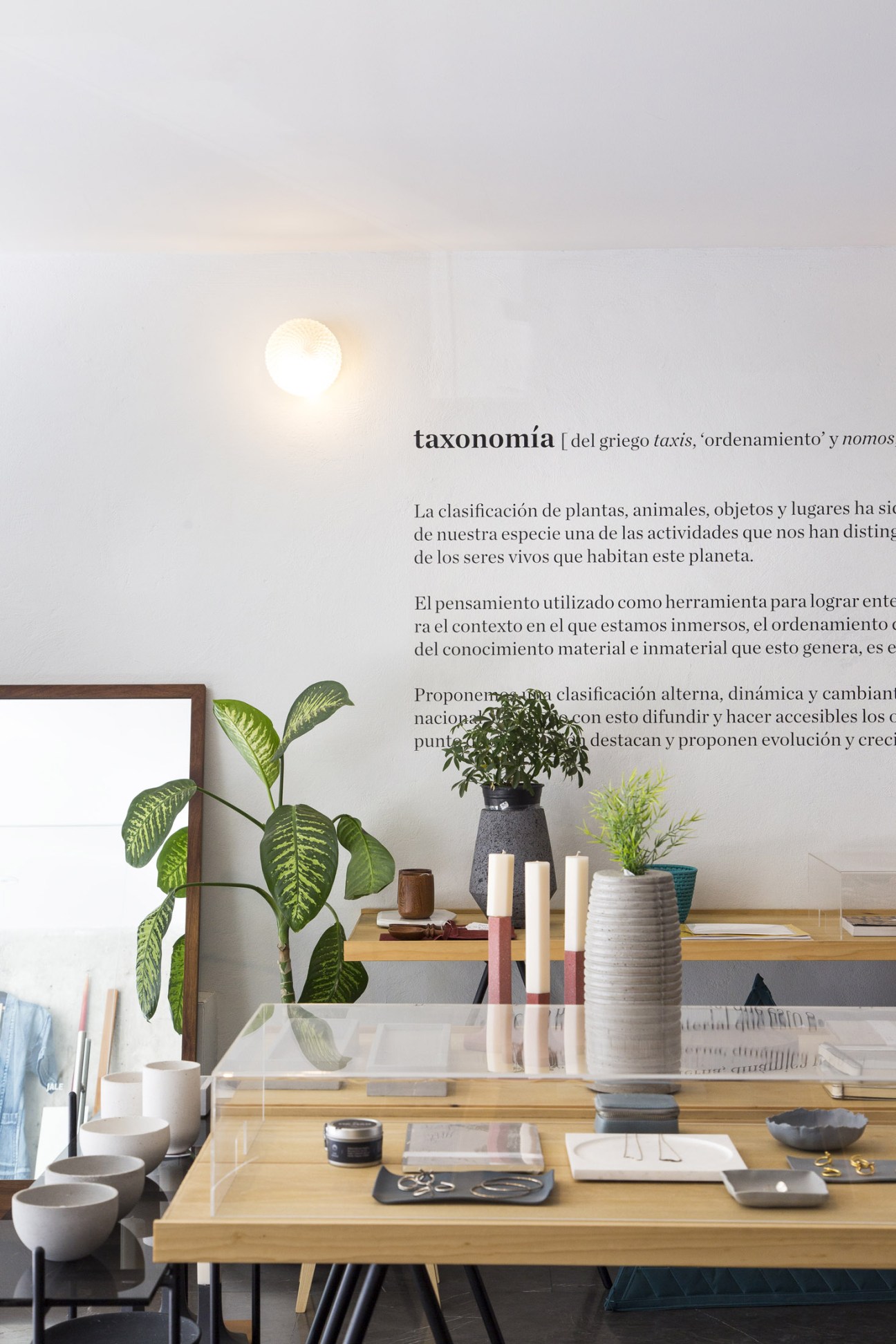 Taxonomía shop display with wooden table, potted plants, candles, ceramics and design products against white wall.