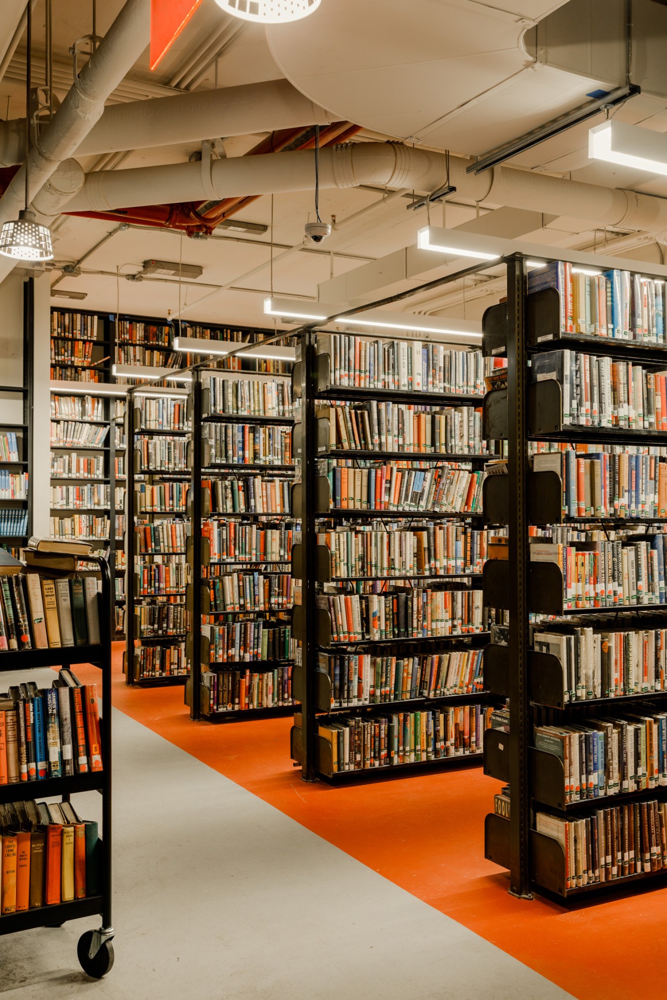 Bright bookshop interior with black shelving units filled with books along an orange floor runner.