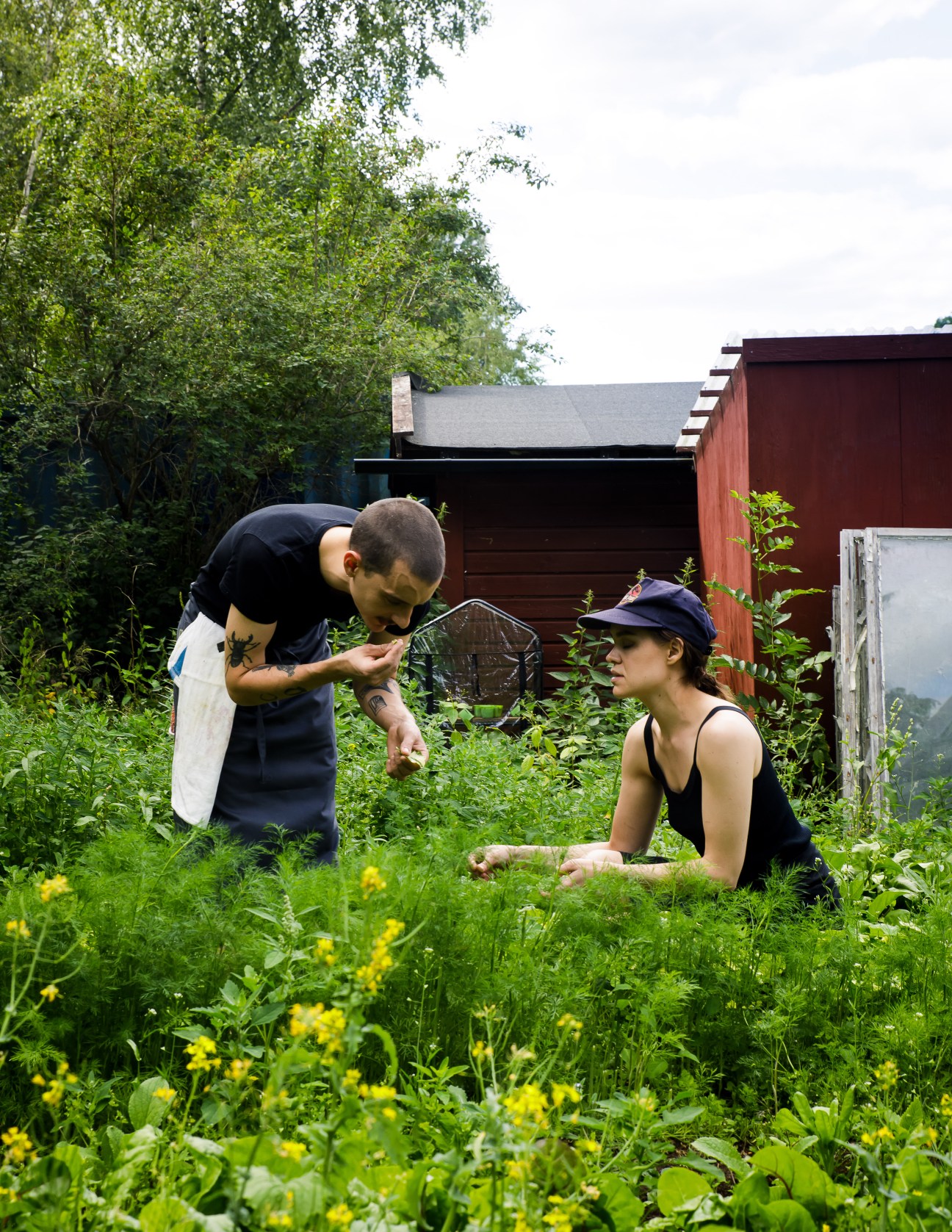 Two people working in a lush garden with yellow flowers, surrounded by green vegetation and buildings