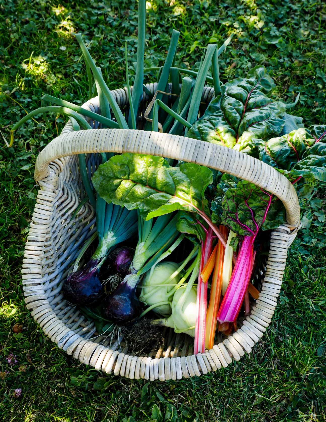 A wicker basket filled with fresh vegetables including rainbow chard, eggplants, kohlrabi and leafy greens