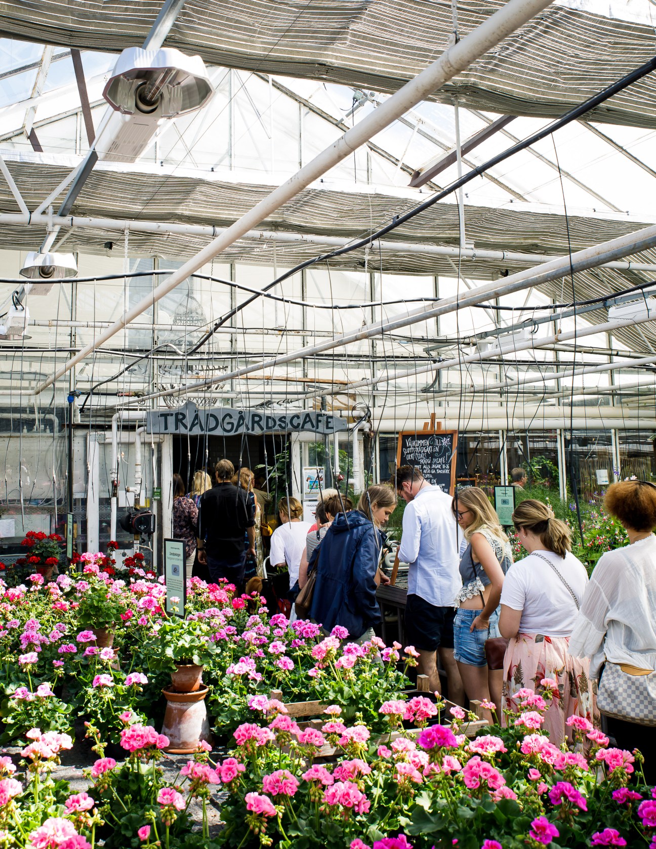 People queuing inside a bright greenhouse cafe with flowering plants and bamboo shade screens overhead