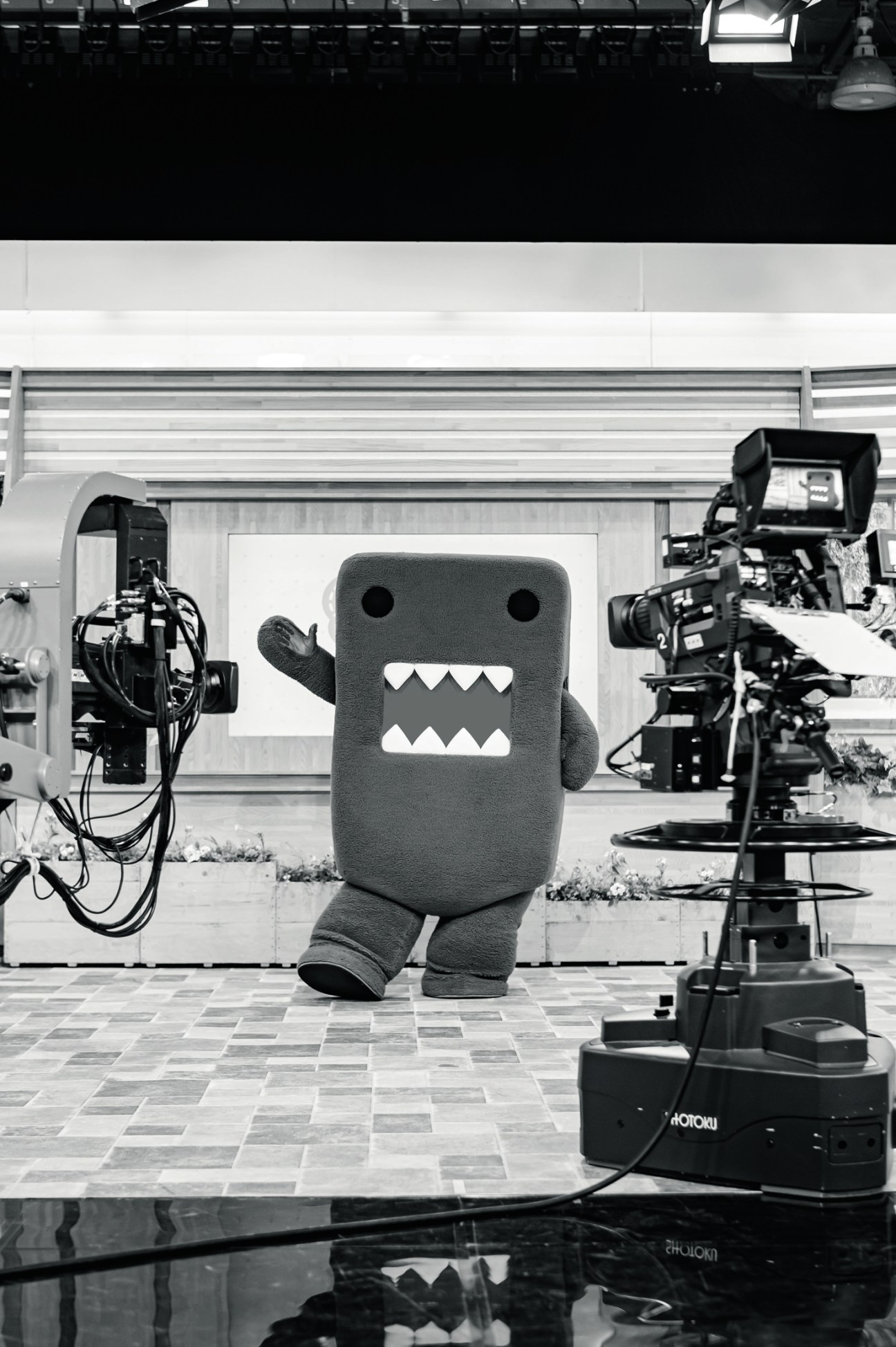 Domo-kun, NHK's brown furry mascot character, standing in a television studio surrounded by professional cameras