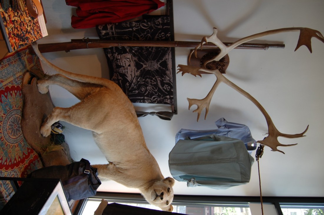 Interior of Context clothing store displaying antlers, vintage textiles, and clothing on display.
